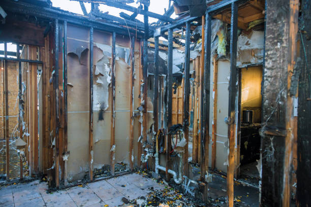Professional Structural Rebuild technician working in Centreville, VA